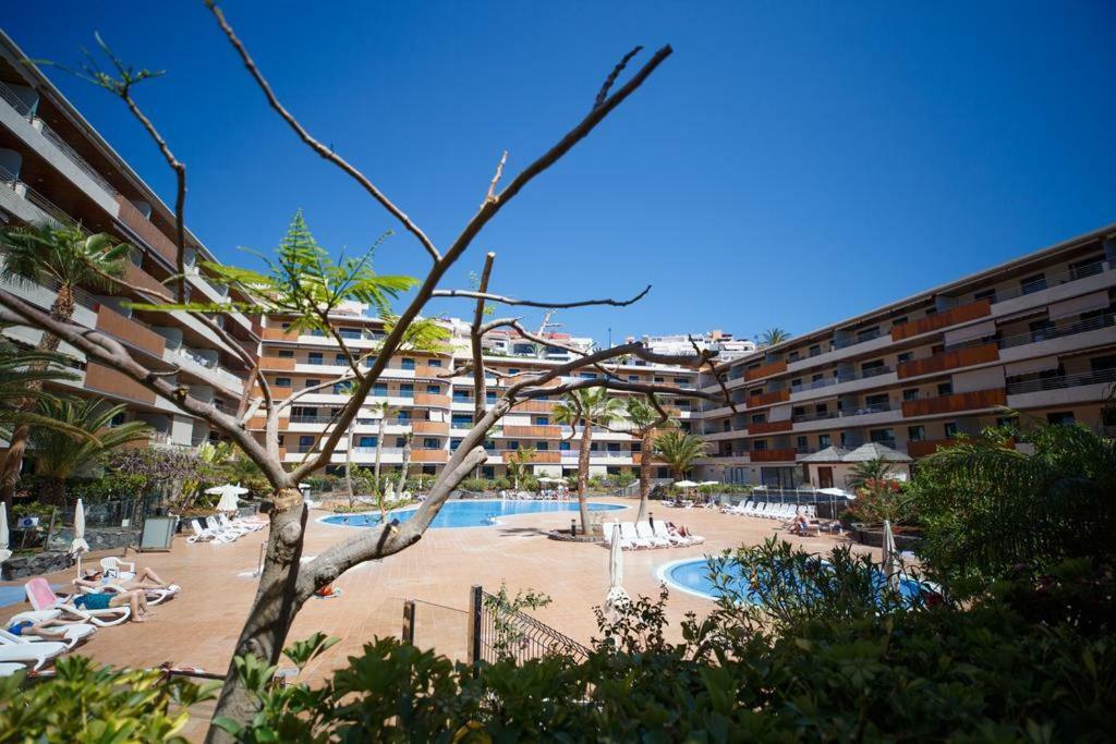 El Teide Lejlighed Puerto de Santiago  Eksteriør billede